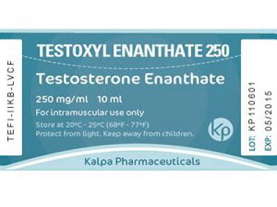 Testoxyl Enanthate 250 - 10ml/vial